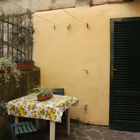Vacantara Pisa Exteriör bild